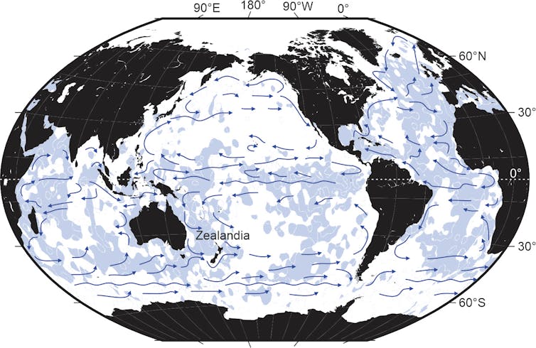 A map of ocean currents and regions of shell accumulation.