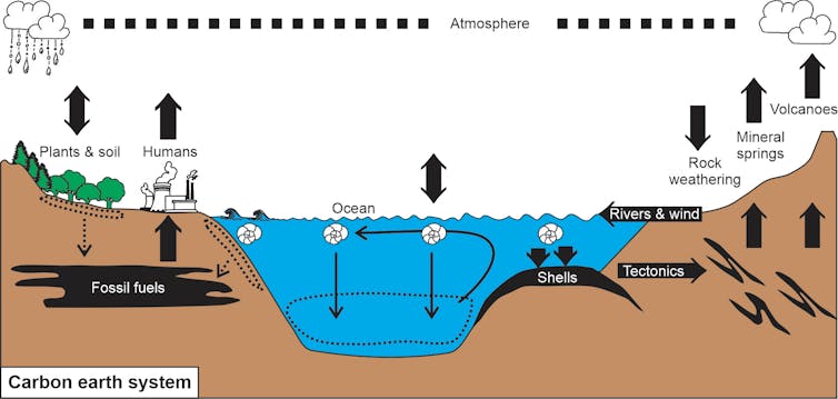 This cartoon illustrates how carbon moves through the Earth system.