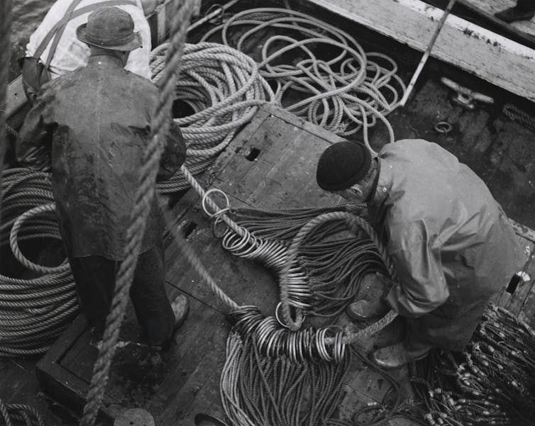 A black-and-white photo of fishermen preparing a length of rope with hundreds of metal hoops attached.