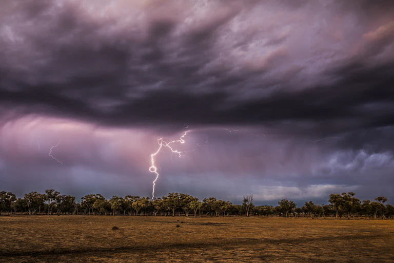 lightning strikes tree in queensland