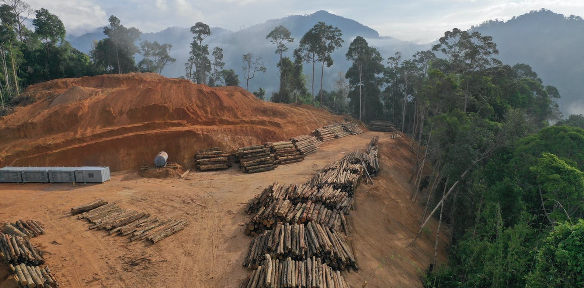 Deforestasi memanaskan suhu lokal hingga 4,5 ℃ dan menyebar ke sekitarnya sampai radius 6 km