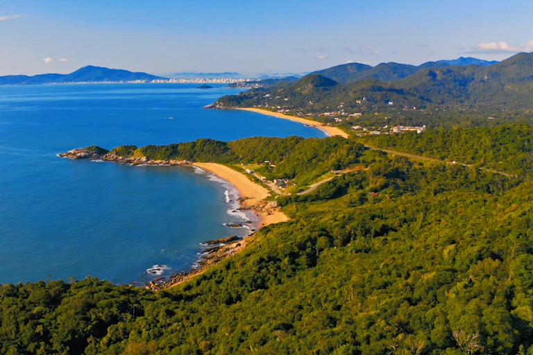 forested coast meets blue waters
