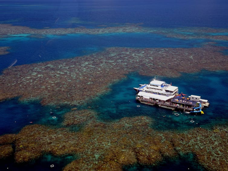 coral reef and boat