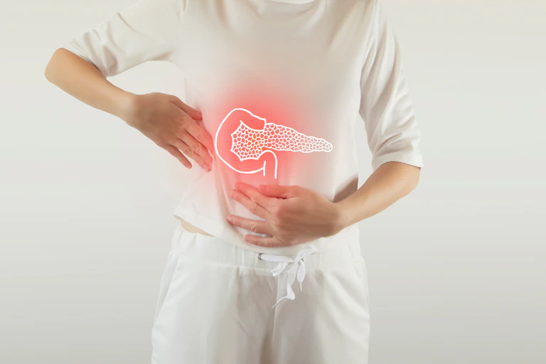 Cuerpo vestido de blanco con páncreas y duodeno dibujados en rojo.