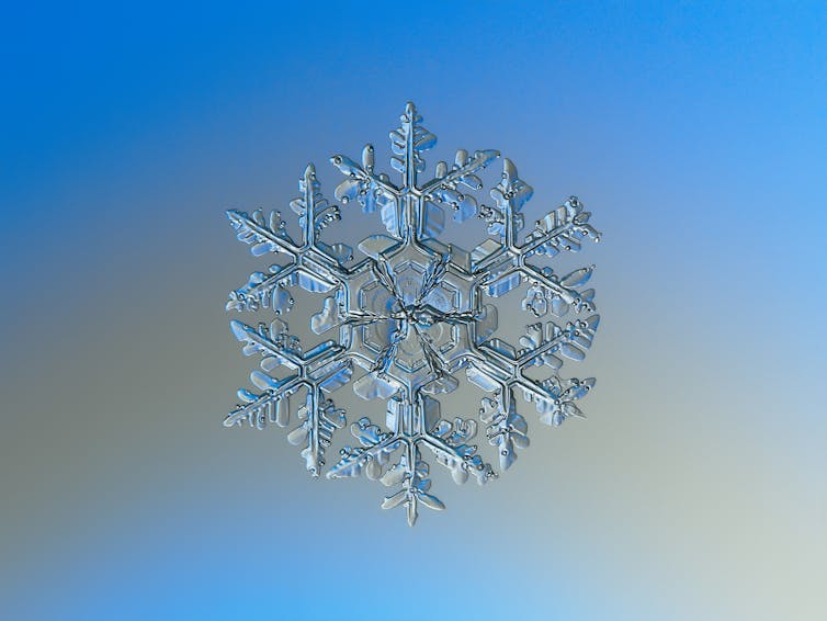 A zoomed in photo of a complex six-sided snowflake.