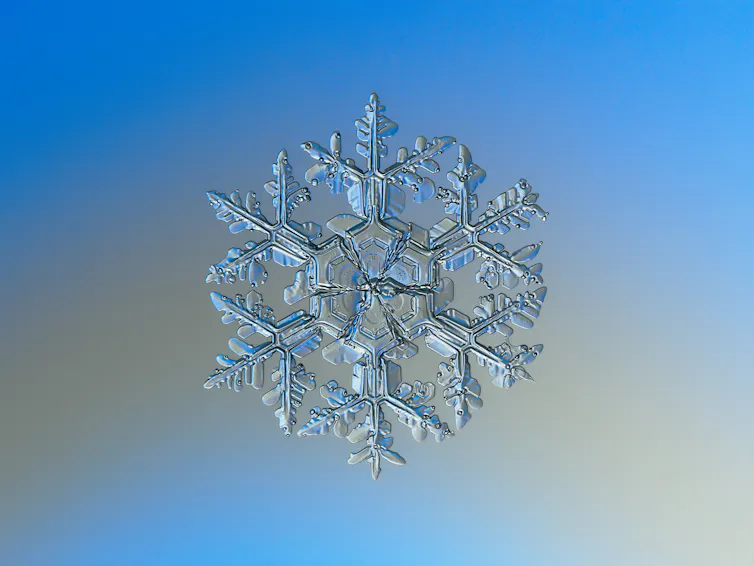 A zoomed in photo of a complex six-sided snowflake.