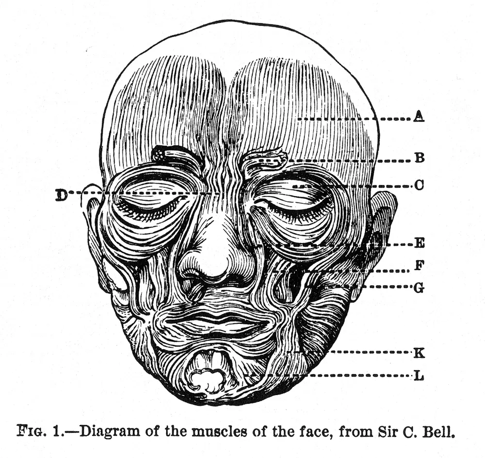 150 years ago, Charles Darwin wrote about how expressions evolved – pre ...