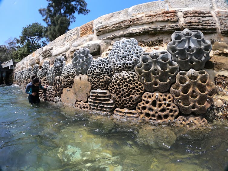 moss-covered tiles attached to sea wall