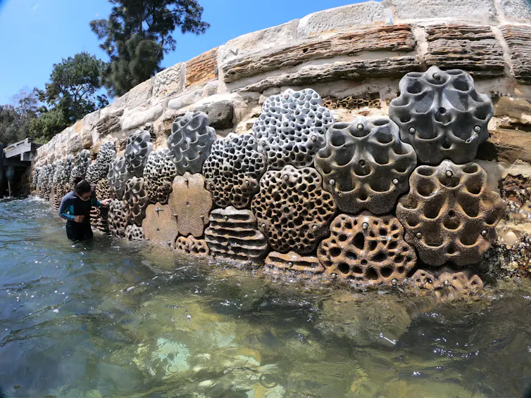moss-covered tiles attached to sea wall