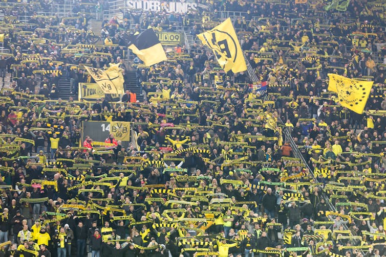 Fans with yellow and black scarves and flags in stadium