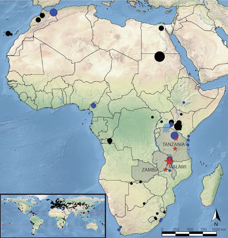 Map with markers showing distribution of ancient DNA data in Africa, and the world.