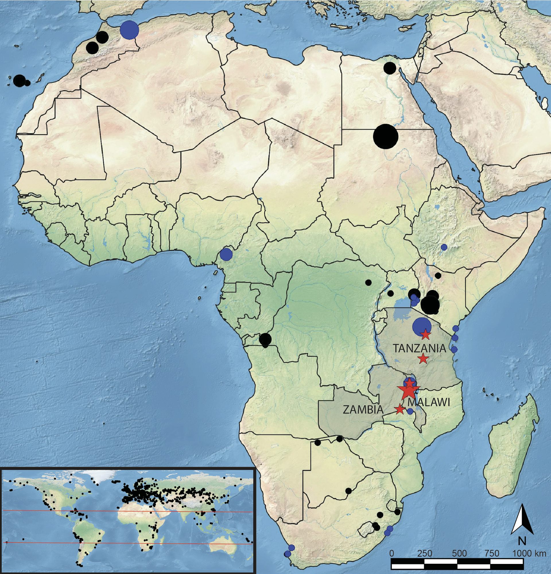 Map with black and blue markers showing distribution of ancient DNA data in Africa and the world