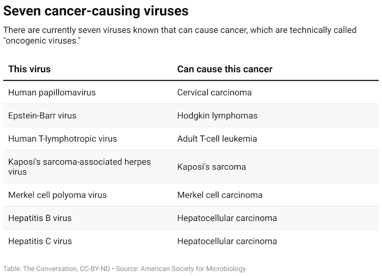 A chart showing seven viruses and the type of cancer they can cause.