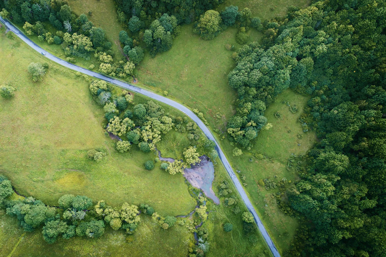 An aerial view of a rural landscape with clusters of trees overtaking fields and a road running through it