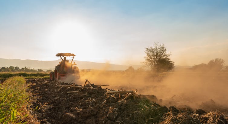 tractor ploughs field