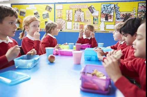 A gutful of lunchbox hype – has selling 'good bugs not drugs' for kids' health gone too far?