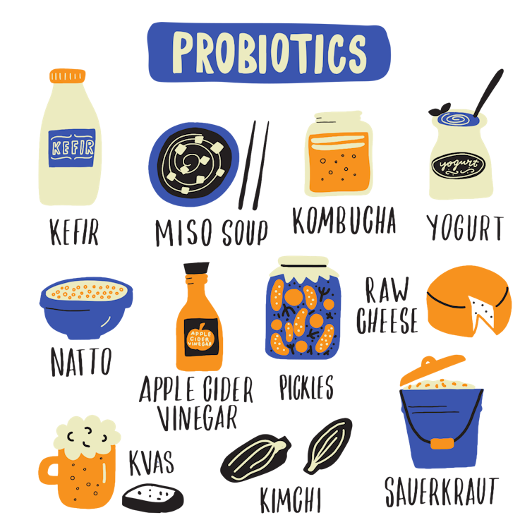 Illustration of various types of priobiotic food products
