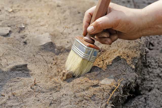 Hand holding brush excavating soil