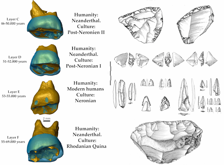 fossil teeth and stone tools found in the same layer are side by side