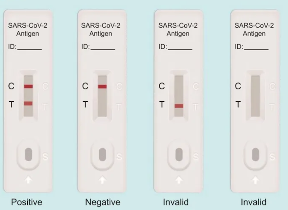 Sars cov 2 antigen test
