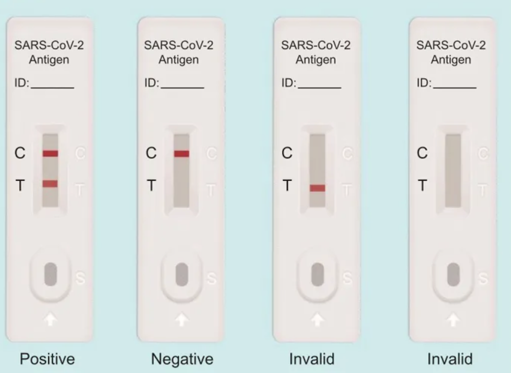 Covid test kit result positive