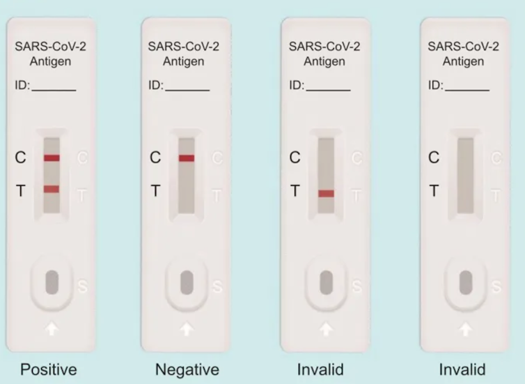 Possible rapid antigen test results