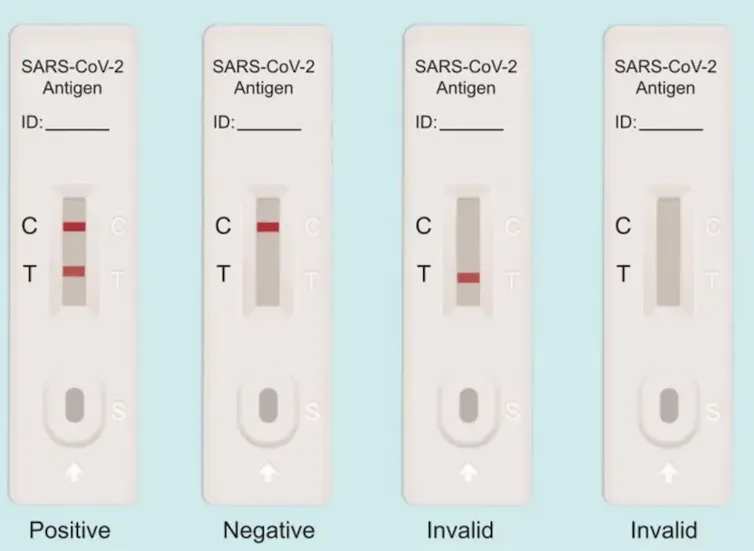 Possible rapid antigen test results