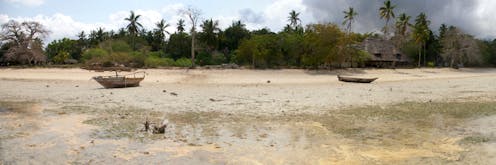 At Unguja Ukuu, human activity transformed the coast of Zanzibar more than 1,000 years ago