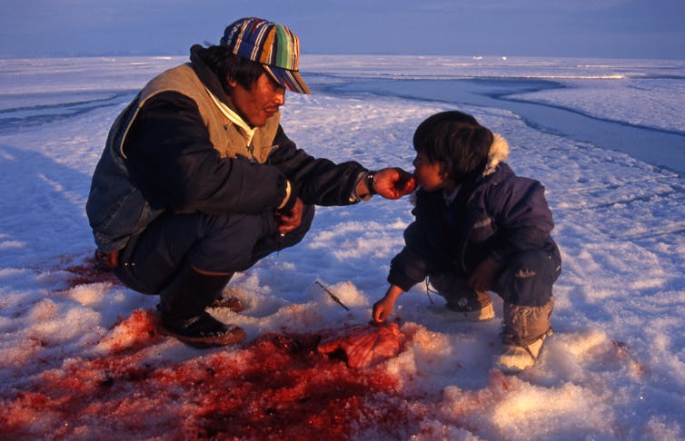 A person feeds a child with meat from a recent kill in the snow