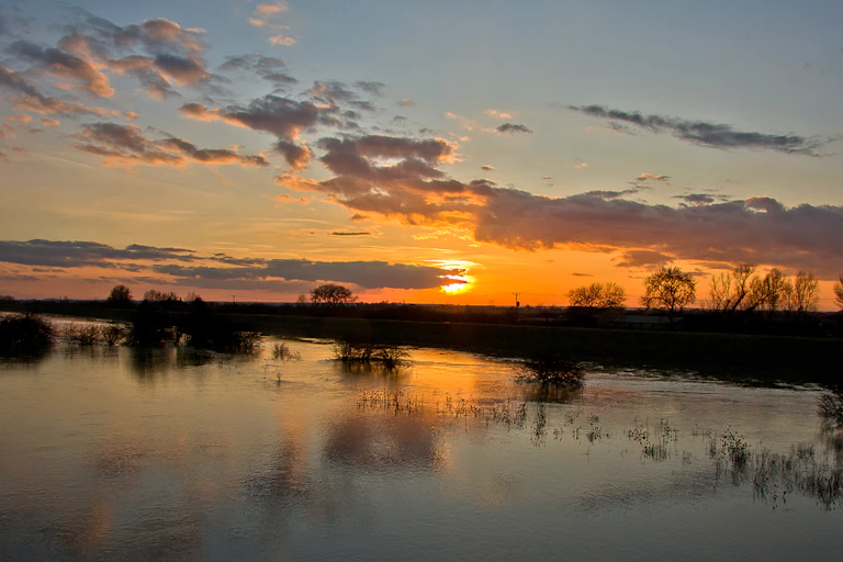 Flooded field at sunset