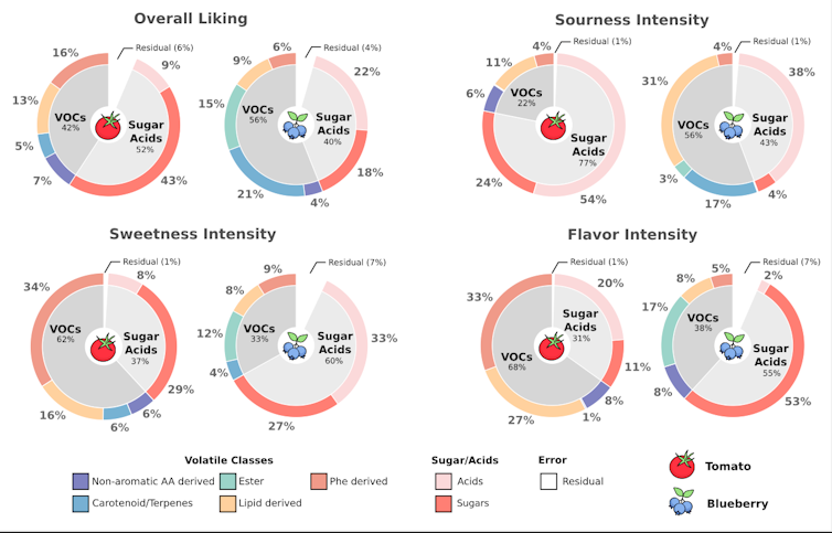 Pie charts showing the proportion of chemical compounds that make up consumer panel ratings of overall liking and intensity of sweetness, sourness and flavor in tomatoes and bluberries