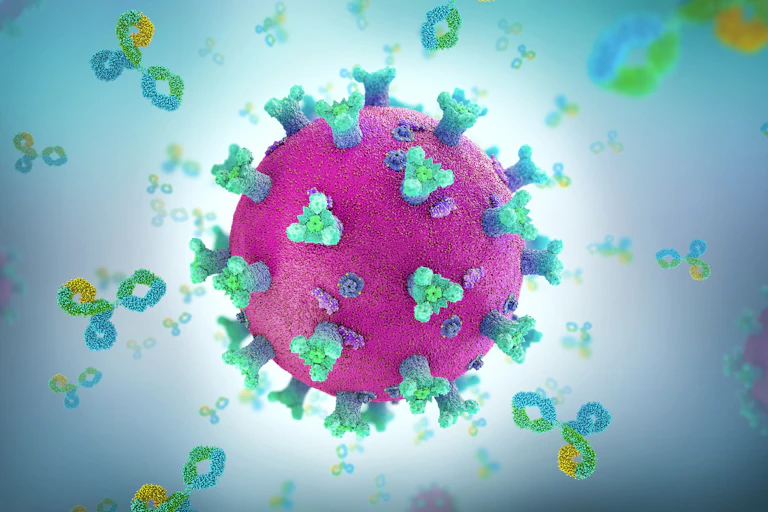 Rona and the Antibodies - An artist rendering of the novel coronavirus as a pinkish red sphere with blue and green protrusions -- representing spike proteins -- all over it. The spiked sphere is surrounded by floating, knotted loops in yellow, green and blue, which represent antibodies.