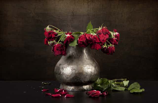 Wilting roses in a pewter vase.