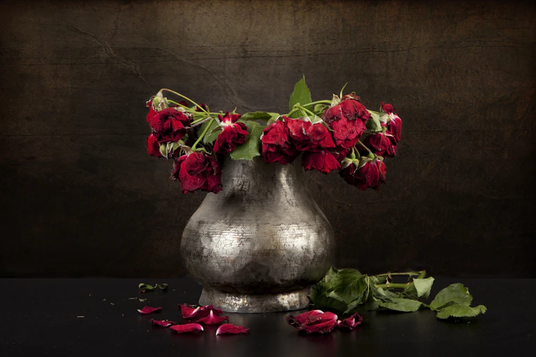 Wilting roses in a pewter vase.