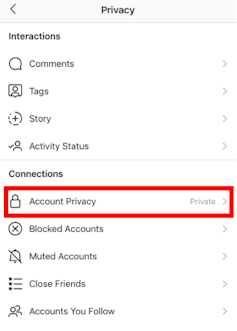 A computer screen displaying the Privacy settings menu. The highlighted option in Connections reads "Account Privacy" and is set to "Private".