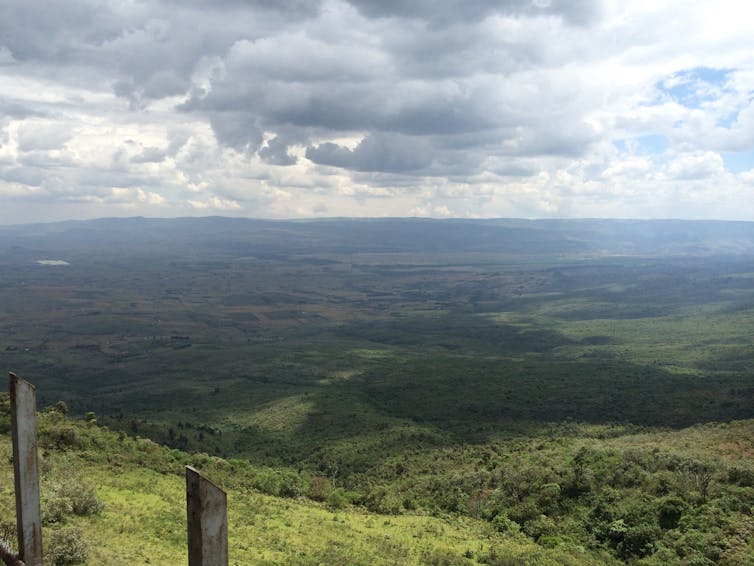 Lush African landscape