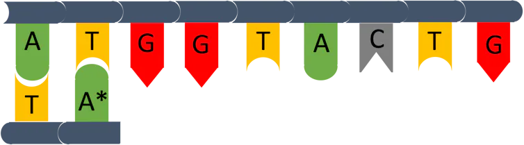 DNA illustration