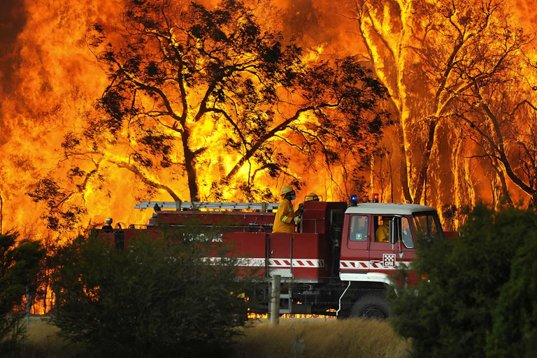 fire truck in front of wall of flames