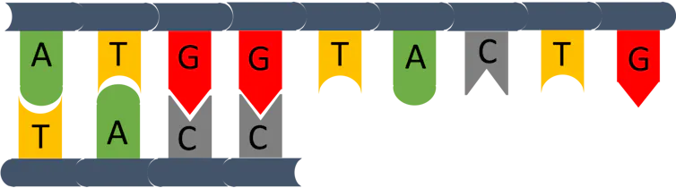 DNA illustration