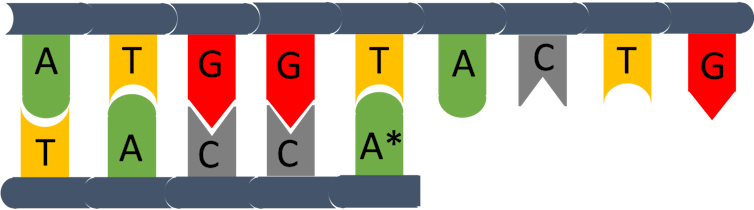 Illustrazione DNA 