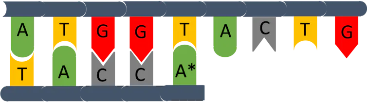 Illustrazione DNA