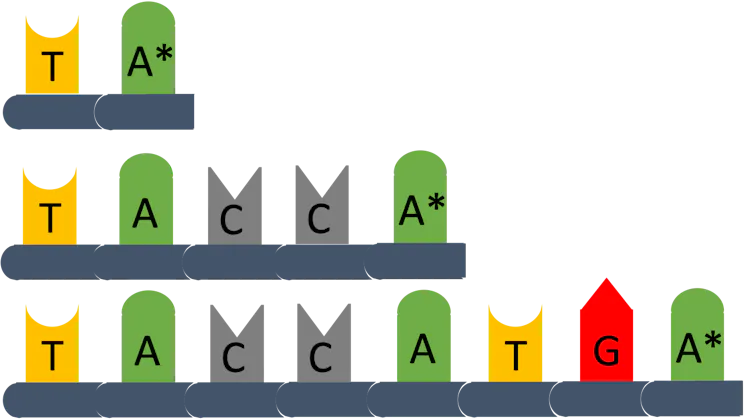 Illustrazione DNA