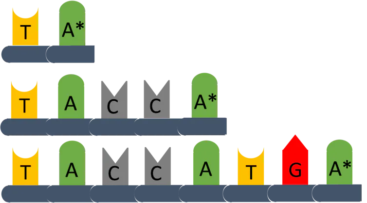 DNA illustration