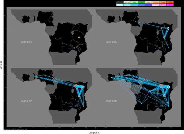 Four maps of central Africa depicting genetic connections between ivory seizures over time.