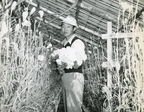 Toshio Mori endured internment camps and overcame discrimination to become the first Japanese American to publish a book of fiction