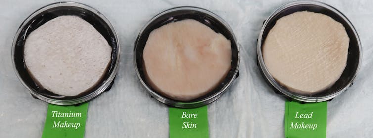 Three petri dishes with bare pigskin, pigskin with titanium-based makeup and pigskin with lead makeup.