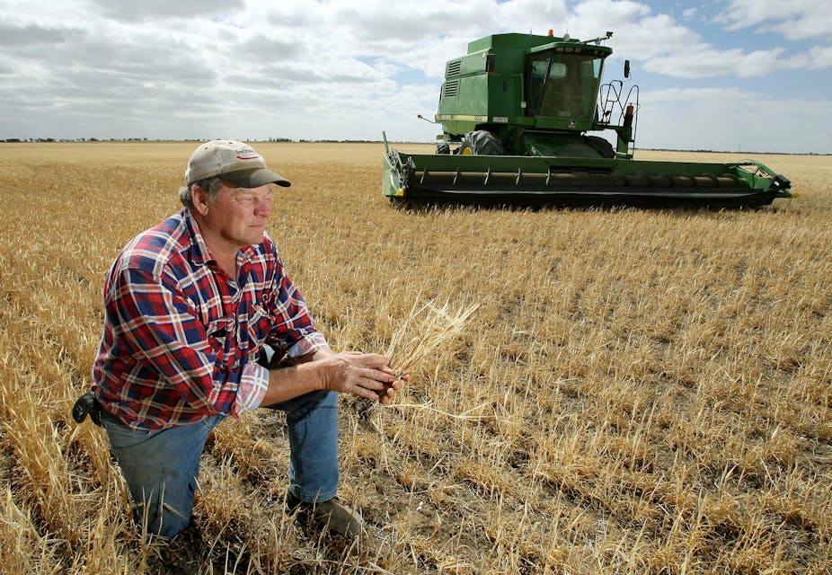 Farming Harvest Why would Australia want to grow genetically modified wheat Farming Harvest Why would Australia want to grow genetically modified wheat
