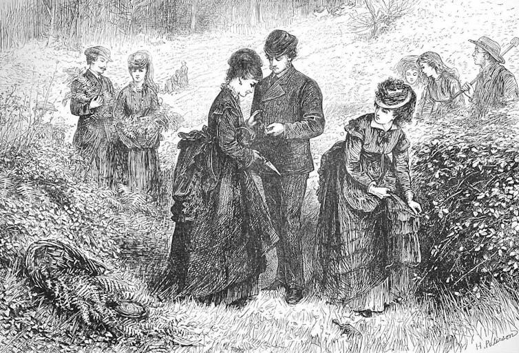 A black-and-white illustration of people in Victorian-era clothes taking cuttings of wild ferns.