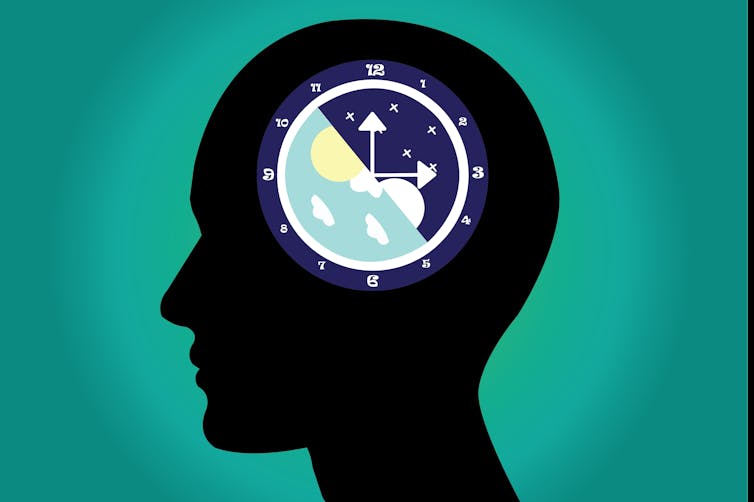 A silhouetted outline of a person's head, with a clock in the centre to illustrate the 24-hour circadian rhythm.