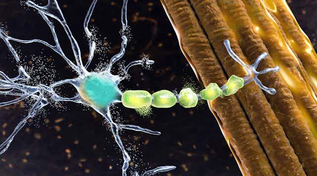 La neurona del manitas: Recoge-cables con velcro